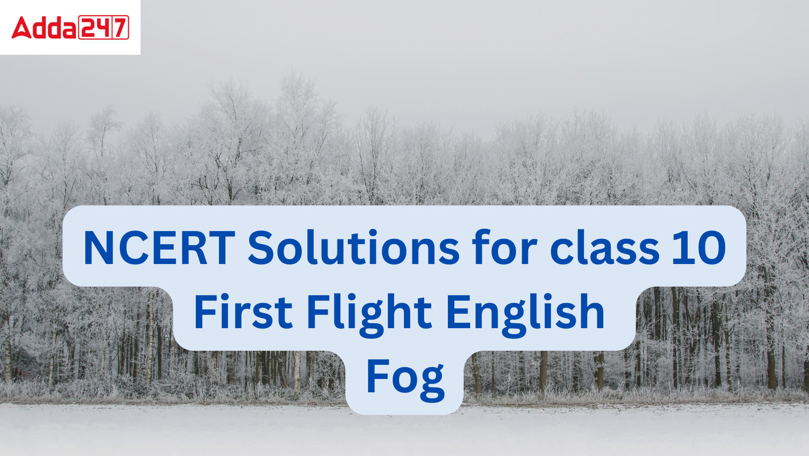 NCERT Solutions Fog