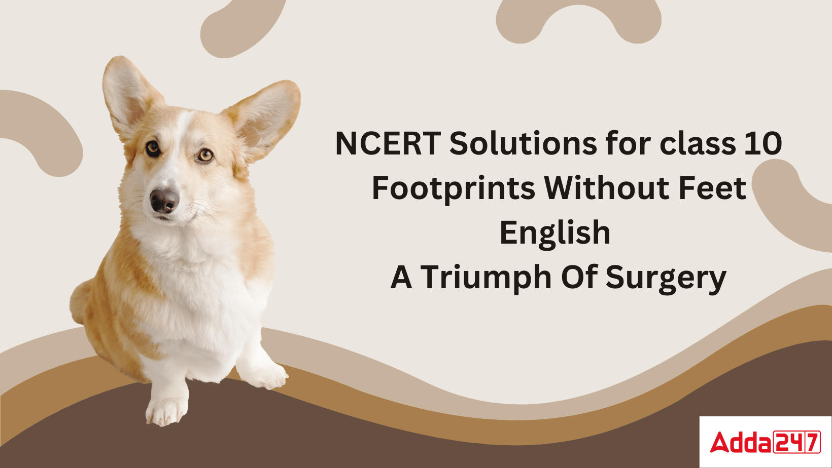 NCERT Solutions for class 10 Footprints Without Feet English A Triumph Of Surgery