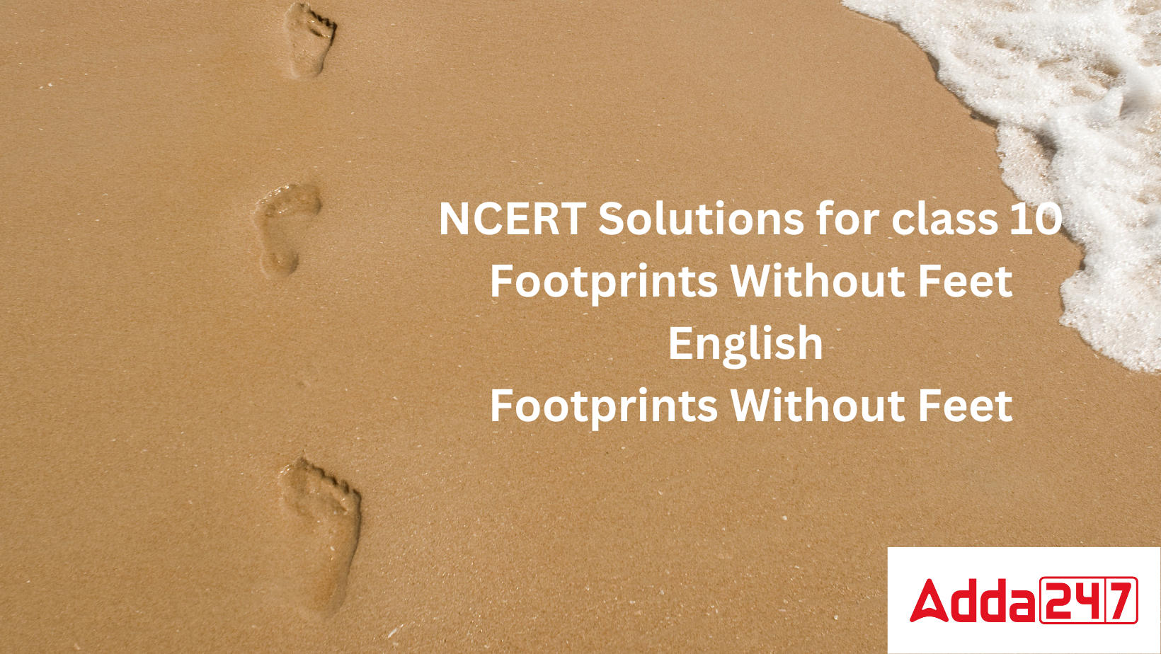 NCERT Solutions Class 10 English Chapter 5- Footprints Without Feet_20.1