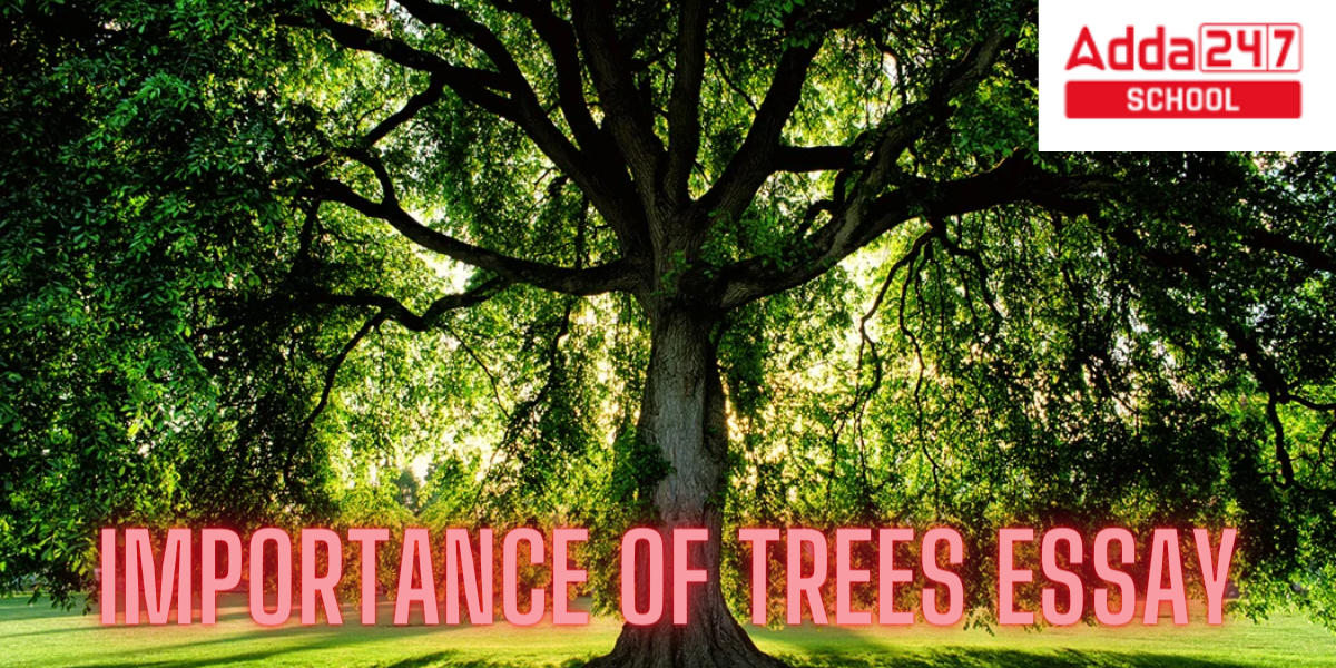 Importance of Trees Essay in English for Class 3 [150-500 Words]_20.1