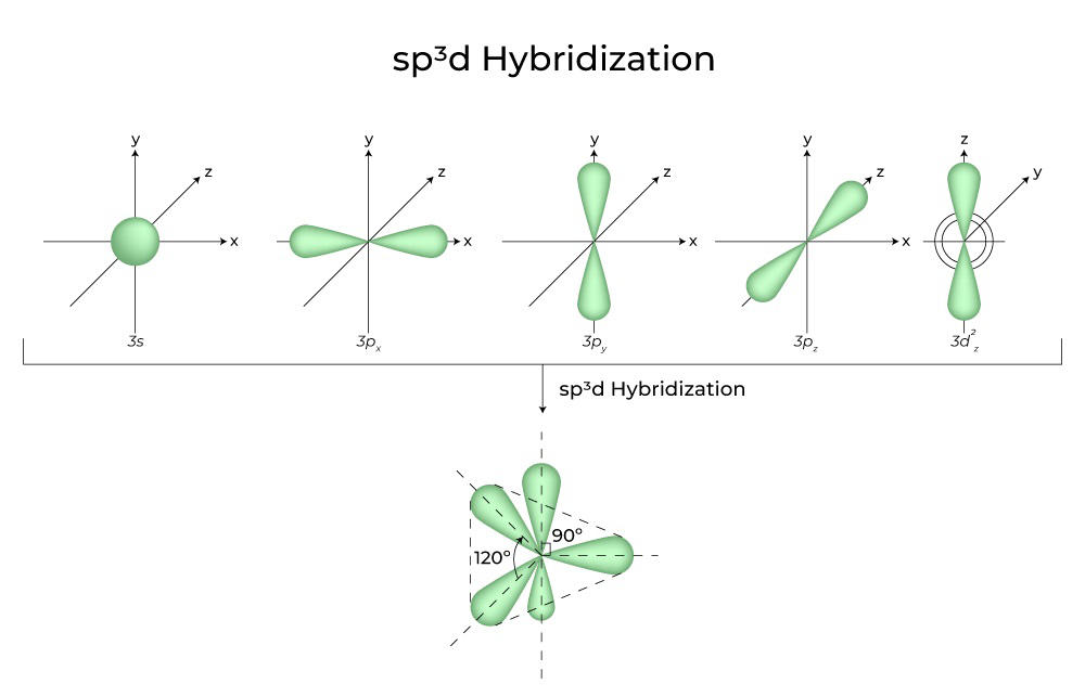 sp3d Hybridisation Shape