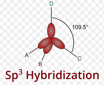 sp3 hybridization shape