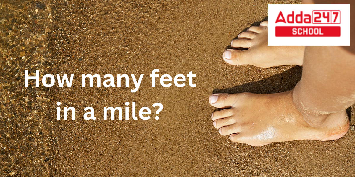 How Many Feet in a Mile?_20.1