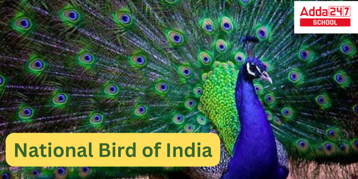 National Bird of India