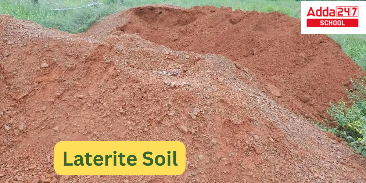 Laterite Soil