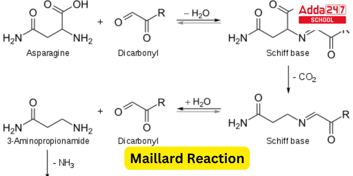 Maillard Reaction Temperature, Mechanism, Examples_20.1
