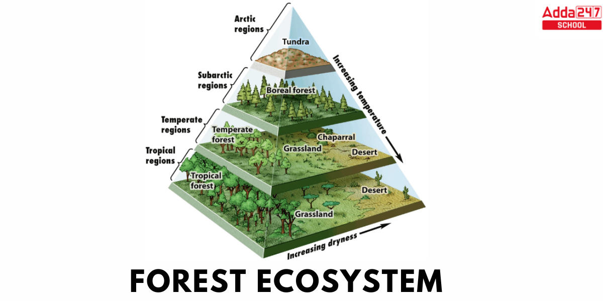 Types of Ecosystems, Diagram, Structure, Different Components -_3.1