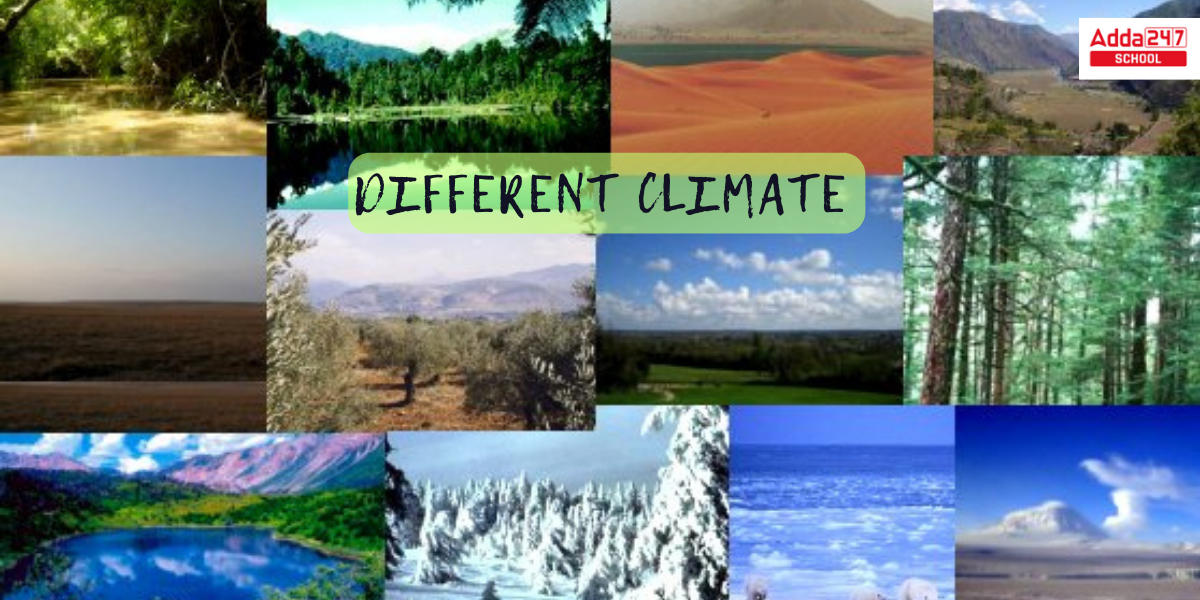 Difference Between Weather and Climate with Examples_4.1