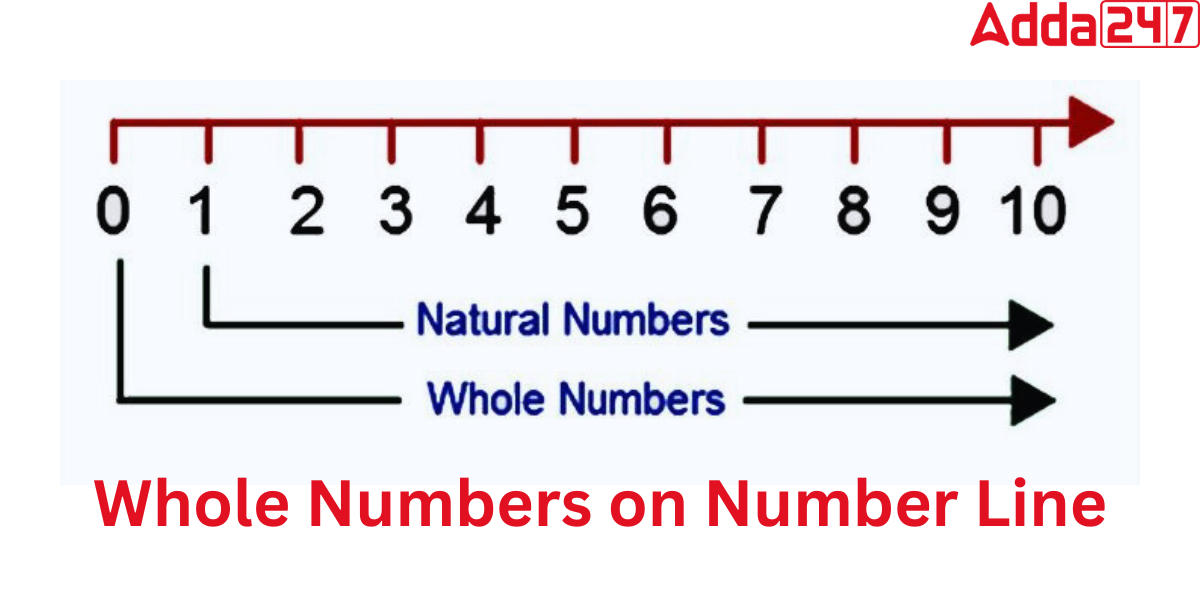 Whole Numbers, Properties, Example, Applications, Uses_3.1