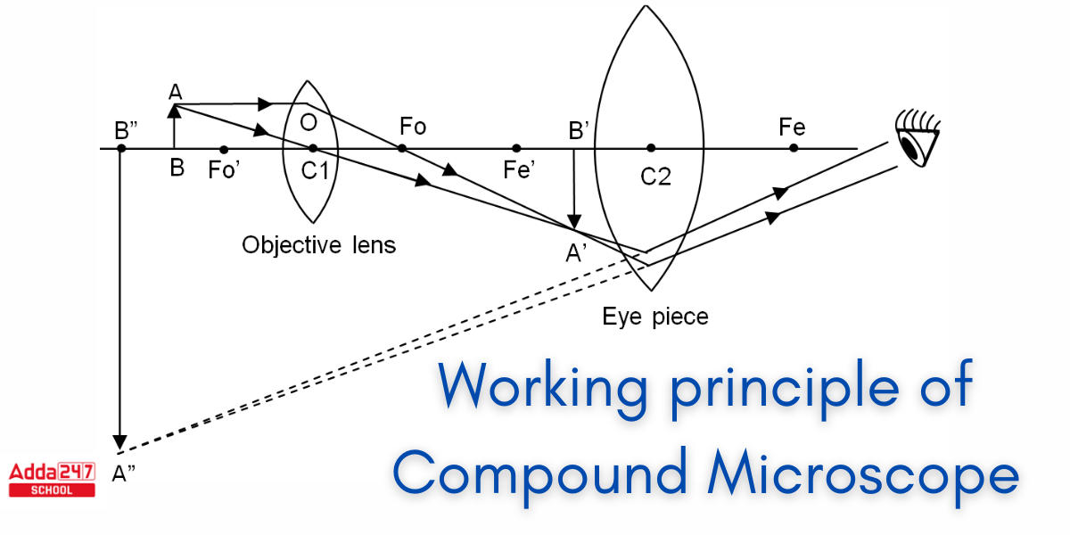Compound Microscope Diagram, Parts and Functions_4.1