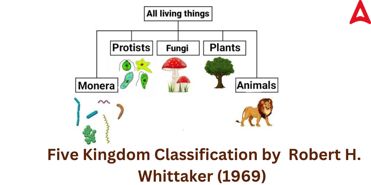 Five Kingdom Classification