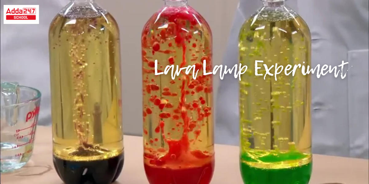 Lava Lamp Experiment Ingredients, Aims, Explanation for kids