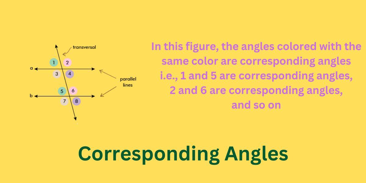 Corresponding Angles Definition Types Properties Examples 0644