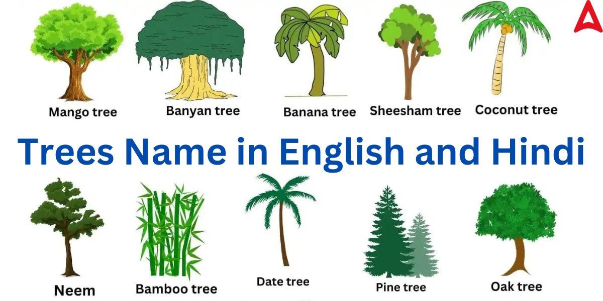 Trees Name in English and Hindi