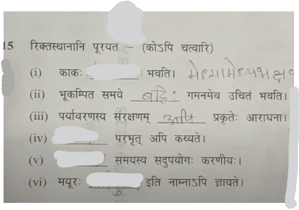 MP Board Class 10th Sanskrit Question Paper 2024 with Answers_14.1
