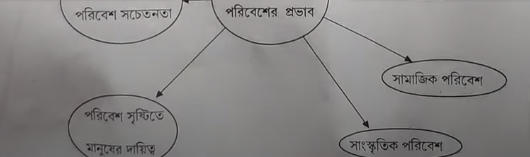 West Bengal HS Bengali Question Paper 2024 with Answer Key_17.1