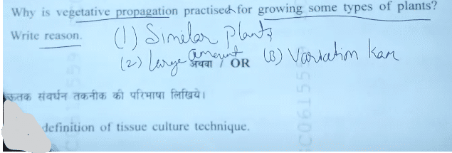 MP Board 10th Science Question Paper 2024 PDF with Answer Key -_9.1