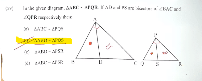 ICSE Maths Question Paper 2024 with Solved Answer Key_11.1