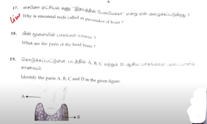 Tamil Nadu 10th Science Question Paper 2024, Model Paper PDF_6.1