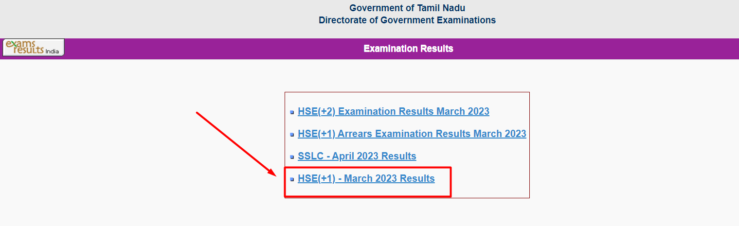 TN 11th result 2024