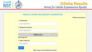 CHSE Odisha Result 2024