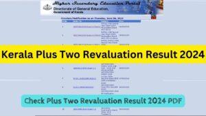 DHSE Kerala Plus Two Revaluation Result 2024 Out, Scrutiny Result @dhsekerala.gov.in