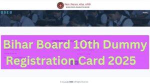 BSEB 10th Dummy Registration Card 2025 Out, Get Link at secondary.biharboardonline.com