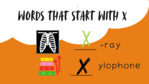 Words That Start with X, Places, Food, Flowers, Animal Names with X