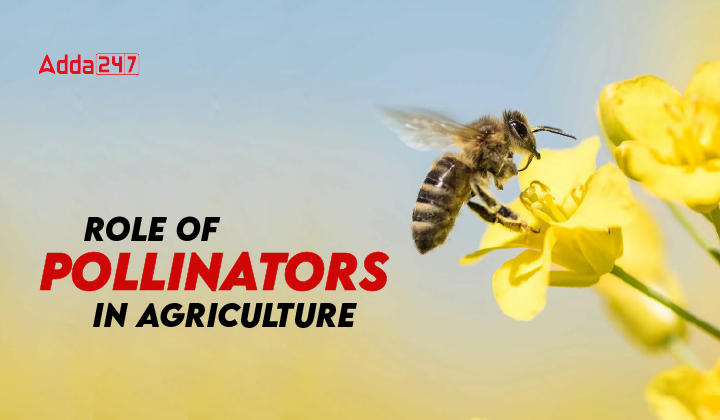 Pollinators in Agriculture