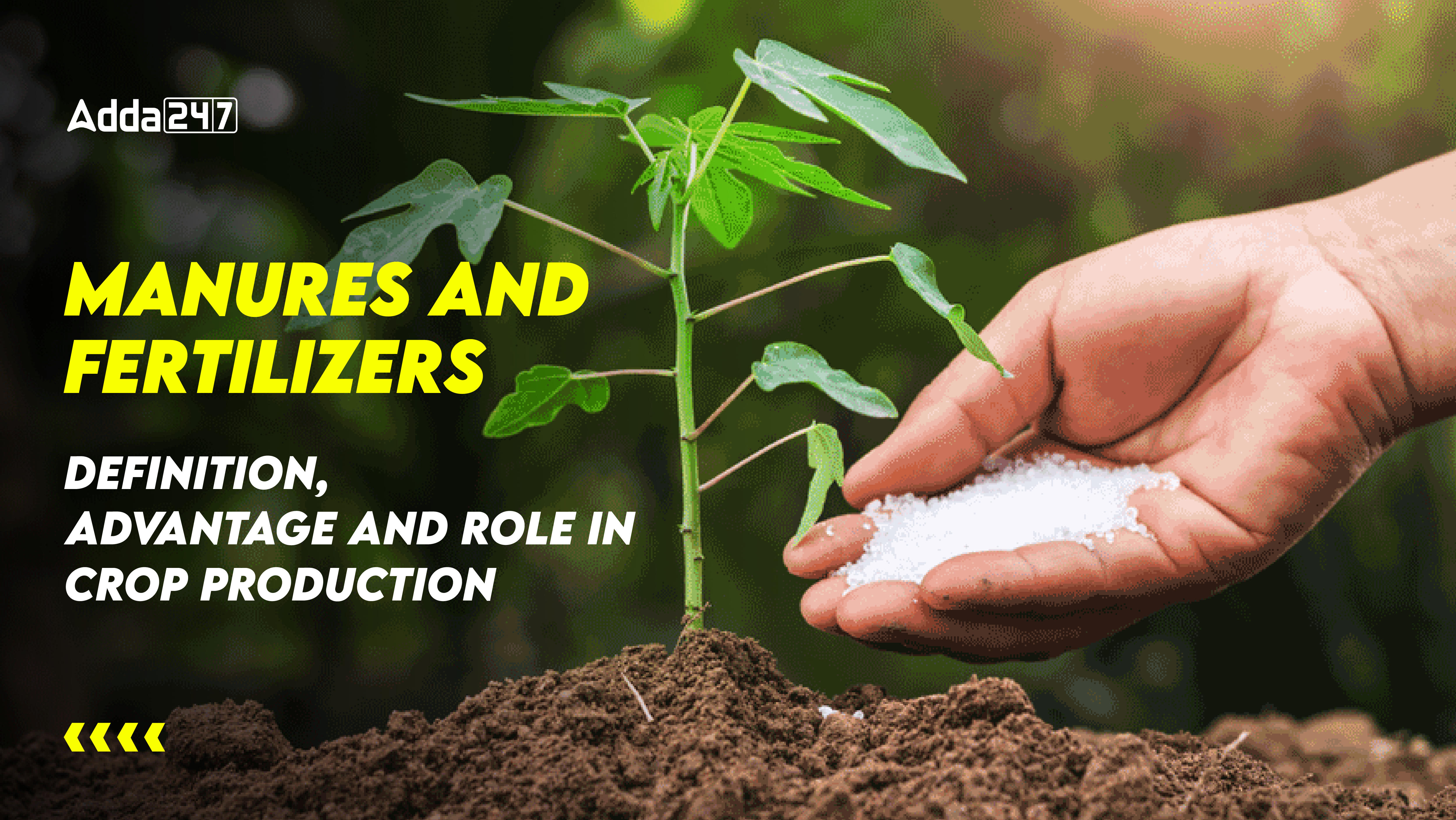 Manures and Fertilizers: Definition, Advantage and Role in Crop Production