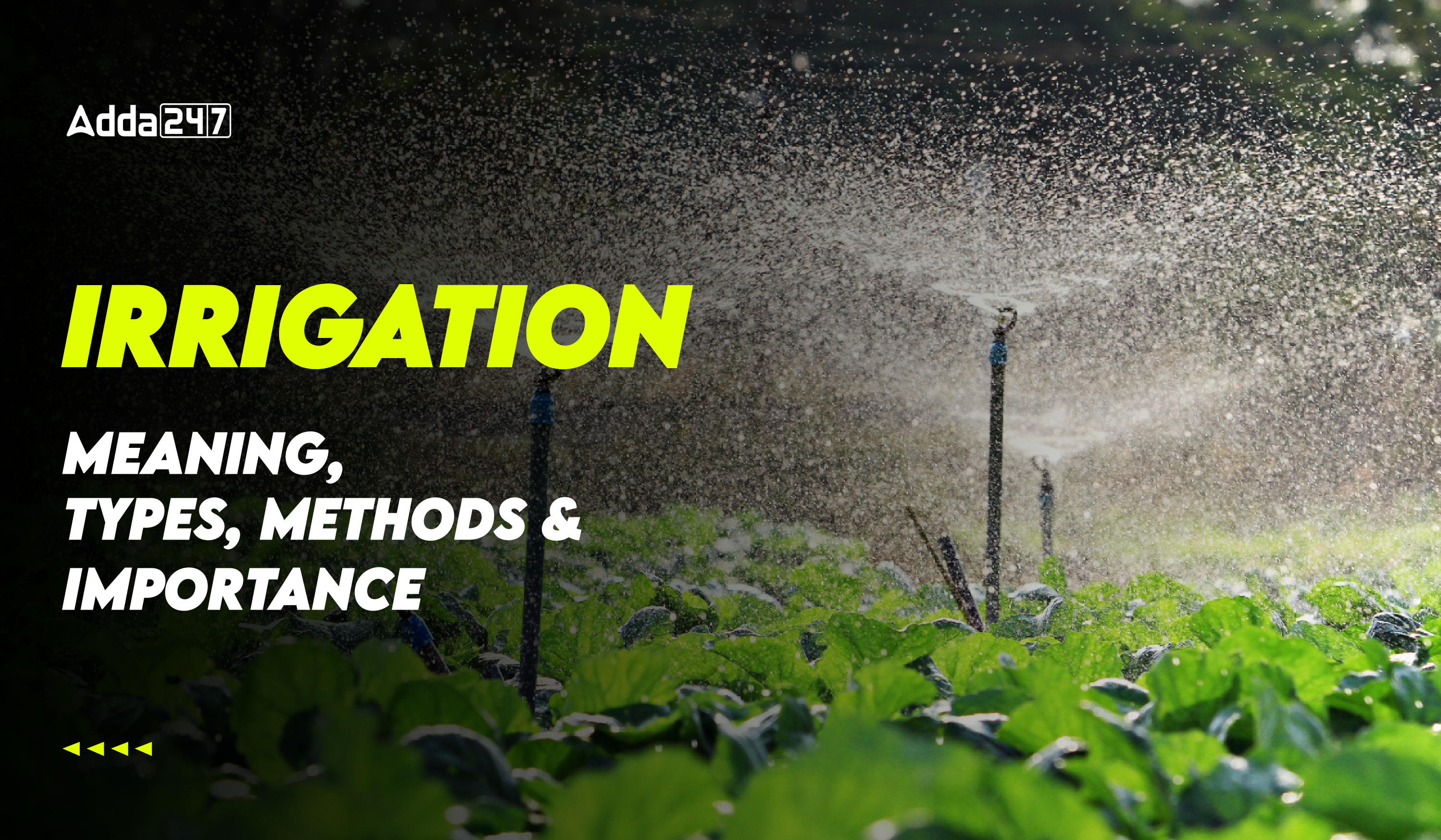 Irrigation Meaning, Types, Methods and Importance