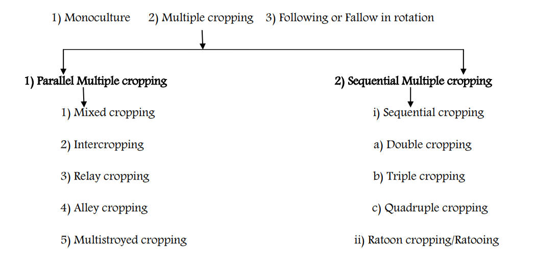 Cropping Pattern and Cropping System