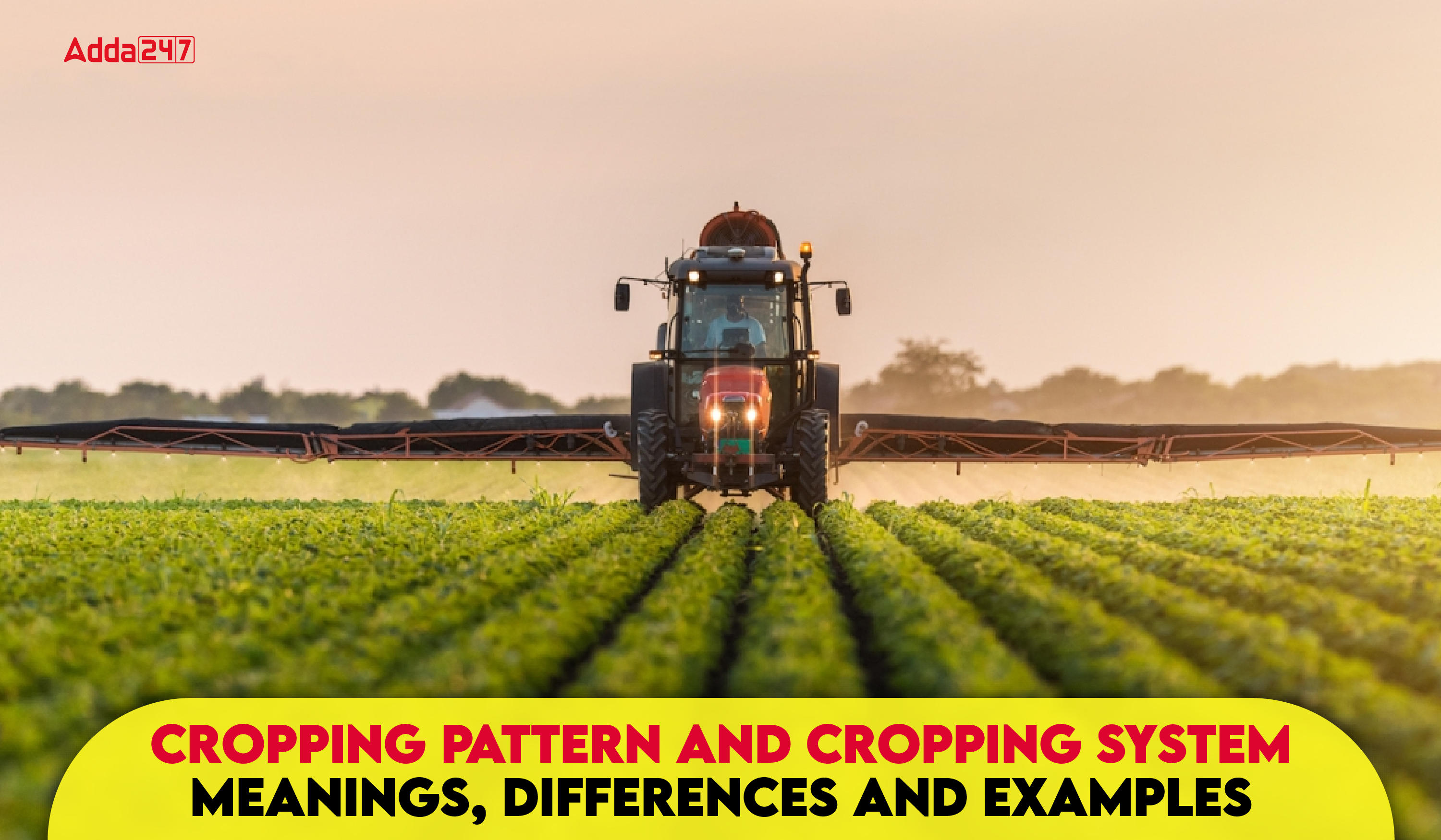 Cropping Pattern and Cropping System Meanings, Differences and Examples