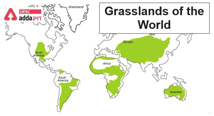 The Grasslands of the world