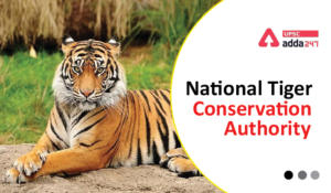 National Tiger Conservation Authority (NTCA)