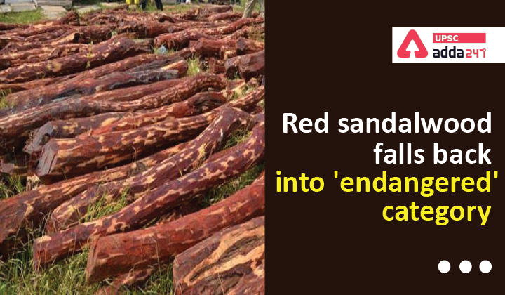 Red sandalwood falls back into 'endangered' category
