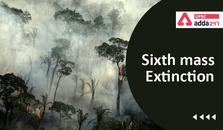 Sixth mass extinction