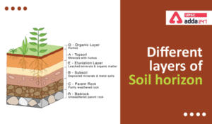 Different layers of soil horizon