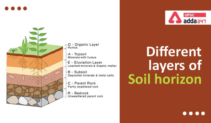 Different Layers of Soil Horizon_20.1