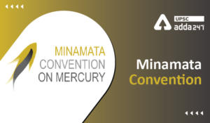 Minamata Convention