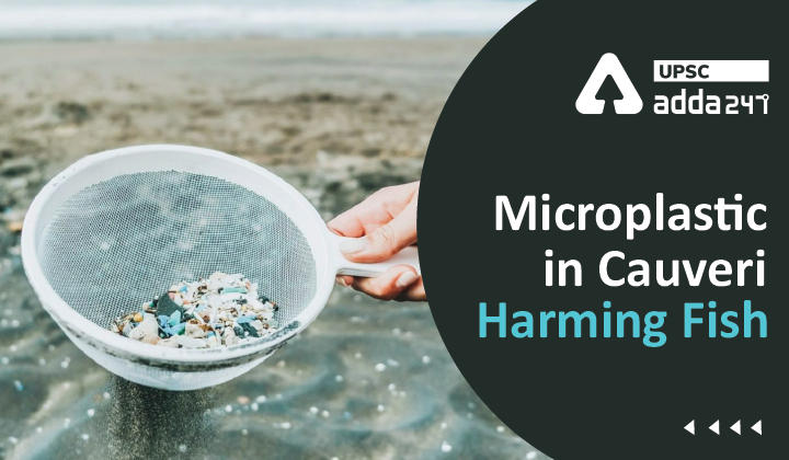 Microplastic pollution
