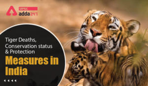 Tiger Deaths, Conservation status and Protection Measures in India