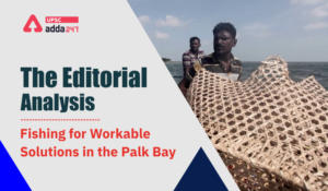 Fishing for Workable Solutions in the Palk Bay