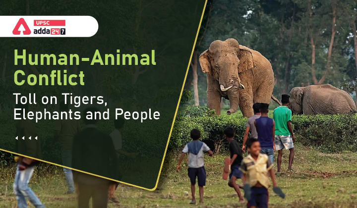 Human-Animal Conflict Toll on Tigers, Elephants and People