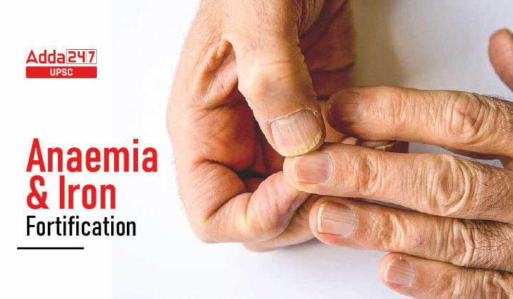 Anaemia and Iron Fortification