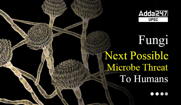 Fungi Next Possible Microbe Threat To Humans