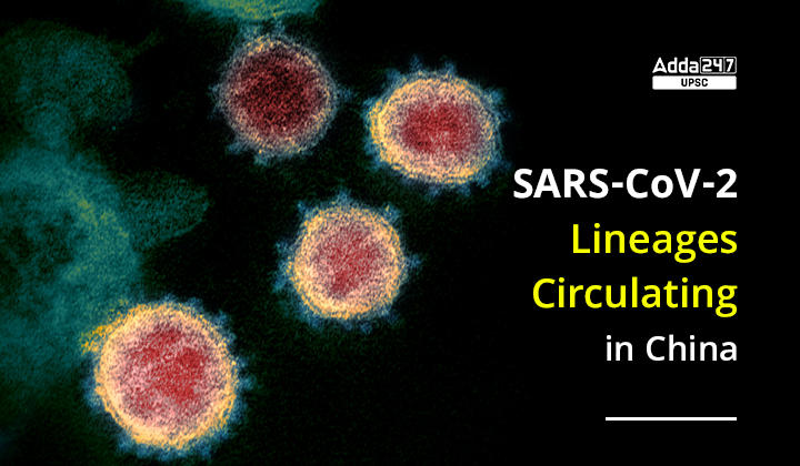 SARS-CoV-2 Lineages Circulating in China