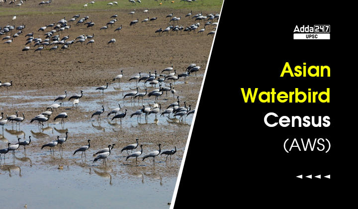 Asian Waterbird Census(AWC) For Conserving Wetlands And Waterbirds