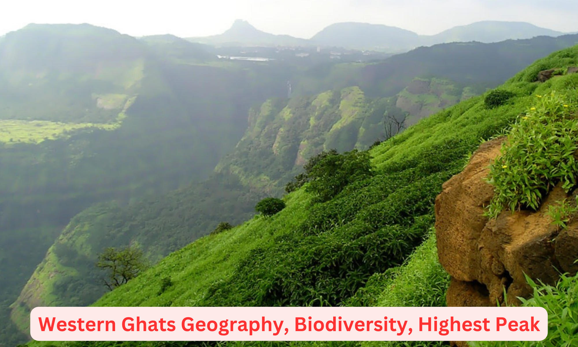 Western Ghats Geography, Biodiversity, Highest Peak