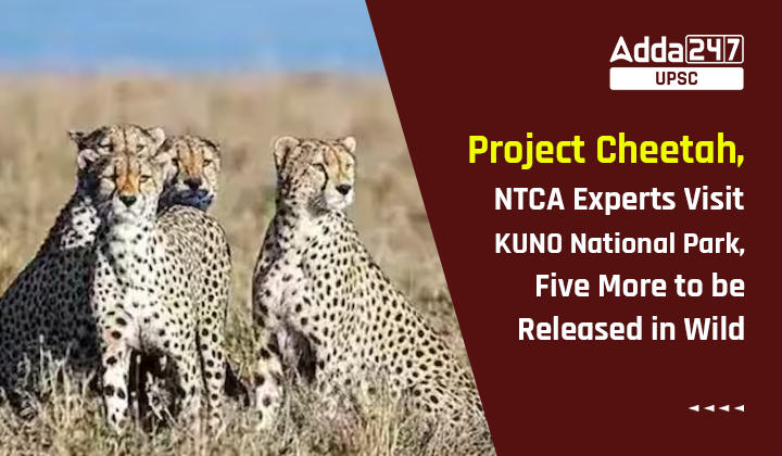 Project Cheetah, NTCA Experts Visit KUNO National Park, Five More to be Released in Wild